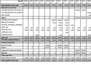 Financial Statement