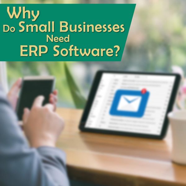 benefits of erp software for small business