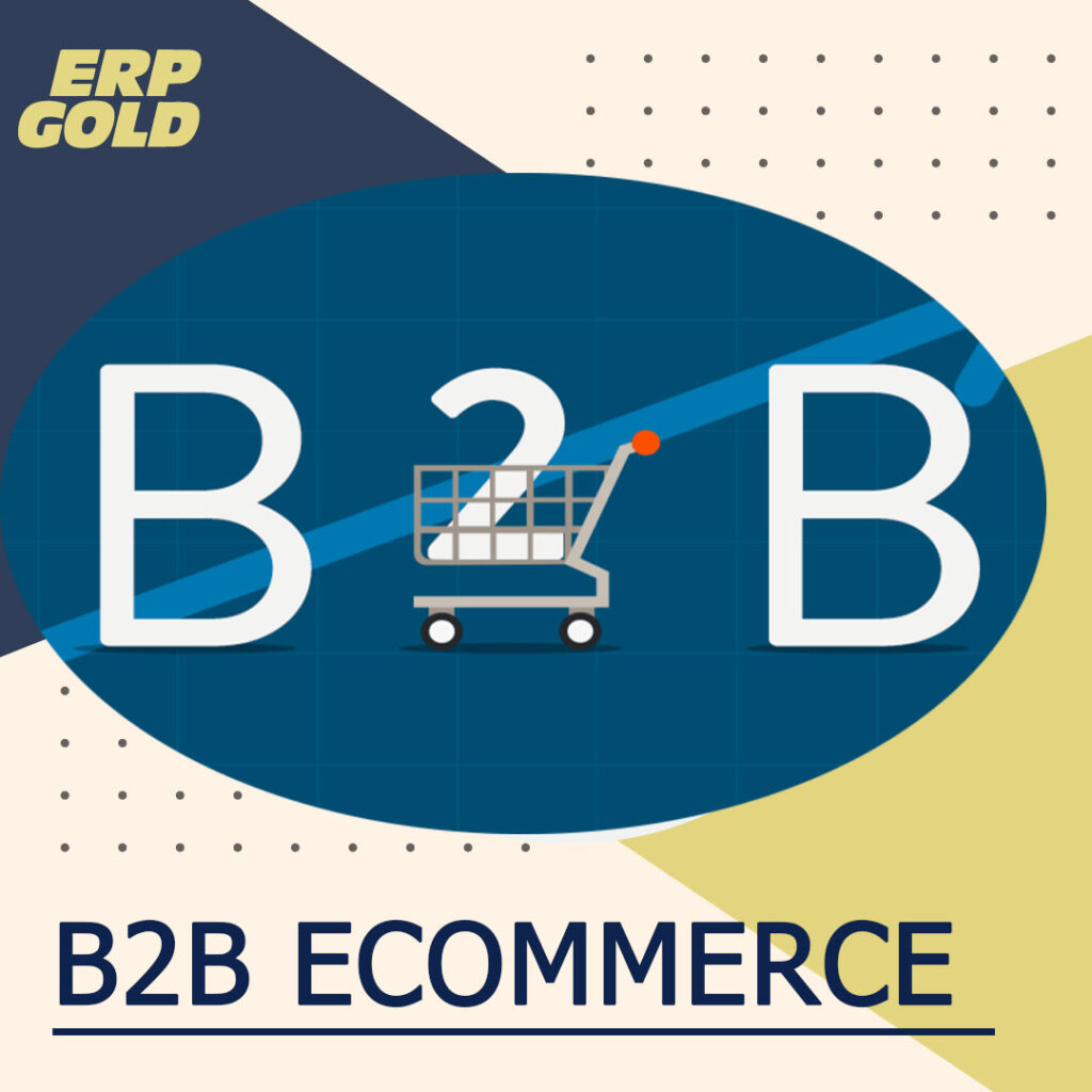 ecommerce erp, best ecommerce erp, b2b ecommerce erp integeration, best b2b ecommerce erp,